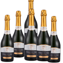 Kit 6 Espumante Nature Brut 750ml