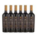 Kit 6 Tannat 750ml